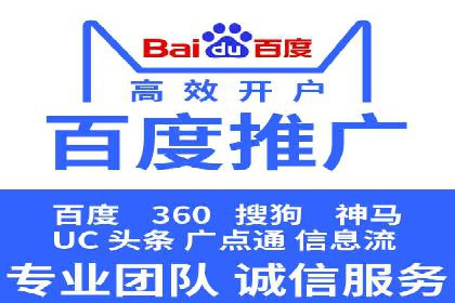 SEM广告投放的竞价策略与效果评估案例